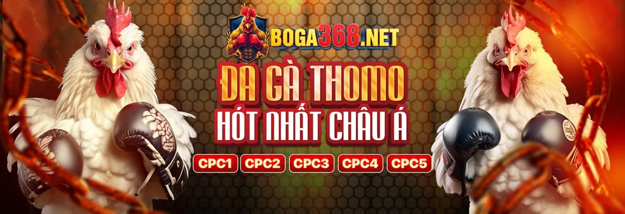 Hình nền đá gà trực tuyến tại gà 13.net